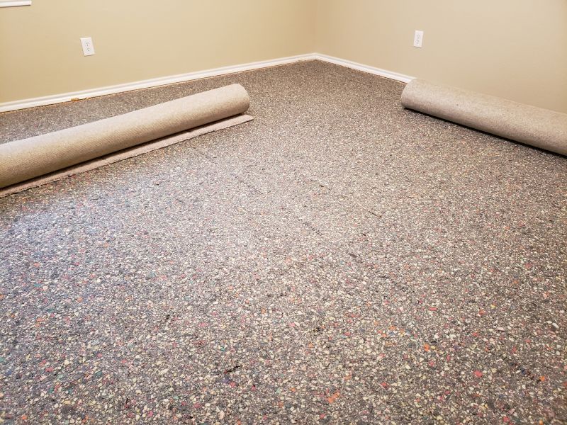 Carpet Foam Replacement in Denver County, CO